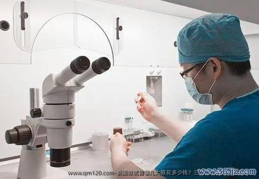周口泰国试管婴儿费用一览专业机构服务