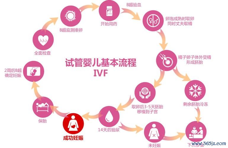 周口泰国试管婴儿费用及注意事项解析