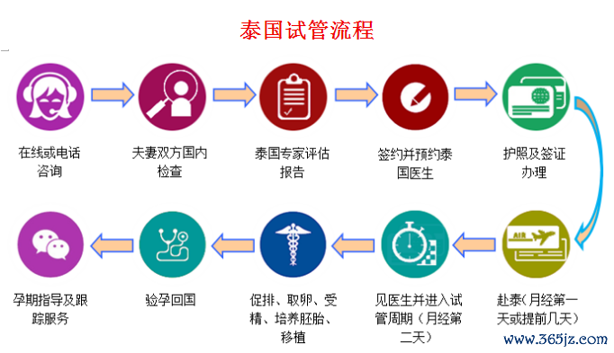 周口泰国试管婴儿费用及注意事项解析